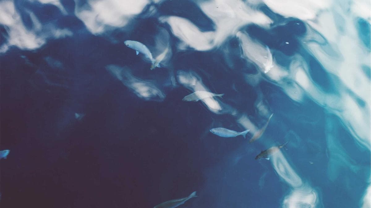 How to Rebuild Trust After a Spiritual Disconnect